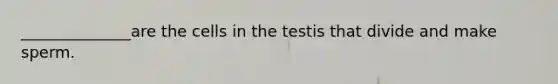 ______________are the cells in the testis that divide and make sperm.