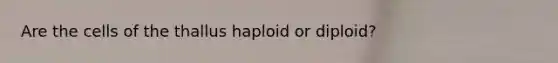 Are the cells of the thallus haploid or diploid?