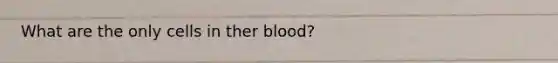 What are the only cells in ther blood?