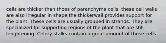 cells are thicker than thoes of parenchyma cells. these cell walls are also irregular in shape the thickerwall provides support for the plant. These cells are usually grouped in strands. They are specialized fpr supporting regions of the plant that are still lenghtening. Celery stalks contain a great amount of these cells.