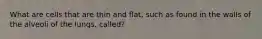 What are cells that are thin and flat, such as found in the walls of the alveoli of the lungs, called?