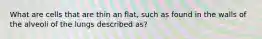 What are cells that are thin an flat, such as found in the walls of the alveoli of the lungs described as?