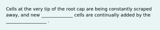 Cells at the very tip of the root cap are being constantly scraped away, and new ______________ cells are continually added by the __________________ .