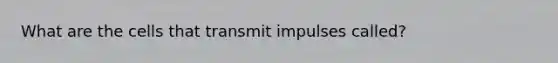 What are the cells that transmit impulses called?