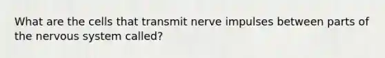 What are the cells that transmit nerve impulses between parts of the nervous system called?