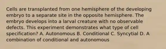 Cells are transplanted from one hemisphere of the developing embryo to a separate site in the opposite hemisphere. The embryo develops into a larval creature with no observable defects. This experiment demonstrates what type of cell specification? A. Autonomous B. Conditional C. Syncytial D. A combination of conditional and autonomous