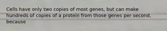 Cells have only two copies of most genes, but can make hundreds of copies of a protein from those genes per second, because