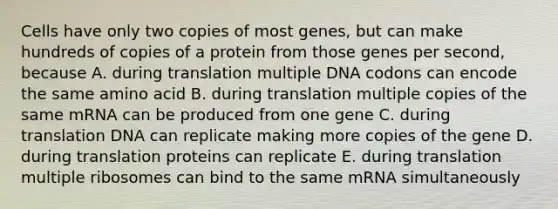 Cells have only two copies of most genes, but can make hundreds of copies of a protein from those genes per second, because A. during translation multiple DNA codons can encode the same amino acid B. during translation multiple copies of the same mRNA can be produced from one gene C. during translation DNA can replicate making more copies of the gene D. during translation proteins can replicate E. during translation multiple ribosomes can bind to the same mRNA simultaneously