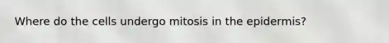 Where do the cells undergo mitosis in the epidermis?