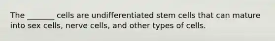 The _______ cells are undifferentiated stem cells that can mature into sex cells, nerve cells, and other types of cells.