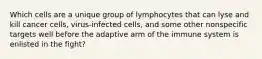 Which cells are a unique group of lymphocytes that can lyse and kill cancer cells, virus-infected cells, and some other nonspecific targets well before the adaptive arm of the immune system is enlisted in the fight?