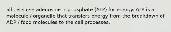 all cells use adenosine triphosphate (ATP) for energy. ATP is a molecule / organelle that transfers energy from the breakdown of ADP / food molecules to the cell processes.