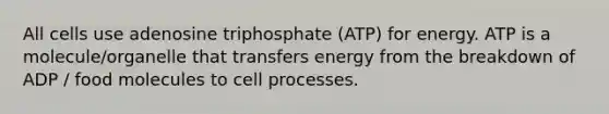 All cells use adenosine triphosphate (ATP) for energy. ATP is a molecule/organelle that transfers energy from the breakdown of ADP / food molecules to cell processes.