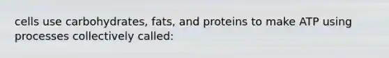 cells use carbohydrates, fats, and proteins to make ATP using processes collectively called: