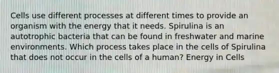 Cells use different processes at different times to provide an organism with the energy that it needs. Spirulina is an autotrophic bacteria that can be found in freshwater and marine environments. Which process takes place in the cells of Spirulina that does not occur in the cells of a human? Energy in Cells