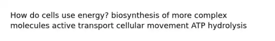 How do cells use energy? biosynthesis of more complex molecules active transport cellular movement ATP hydrolysis