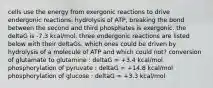 cells use the energy from exergonic reactions to drive endergonic reactions. hydrolysis of ATP, breaking the bond between the second and third phosphates is exergonic. the deltaG is -7.3 kcal/mol. three endergonic reactions are listed below with their deltaGs. which ones could be driven by hydrolysis of a molecule of ATP and which could not? conversion of glutamate to glutamine : deltaG = +3.4 kcal/mol phosphorylation of pyruvate : deltaG = +14.8 kcal/mol phosphorylation of glucose : deltaG = +3.3 kcal/mol