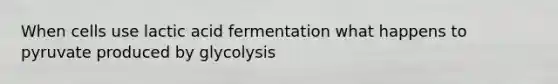 When cells use lactic acid fermentation what happens to pyruvate produced by glycolysis