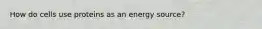 How do cells use proteins as an energy source?