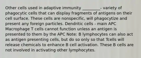 Other cells used in adaptive immunity _________- variety of phagocytic cells that can display fragments of antigens on their cell surface. These cells are nonspecific, will phagocytize and present any foreign particles. Dendritic cells - main APC Macrophage T cells cannot function unless an antigen is presented to them by the APC Note: B lymphocytes can also act as antigen presenting cells, but do so only so that Tcells will release chemicals to enhance B cell activation. These B cells are not involved in activating other lymphocytes.