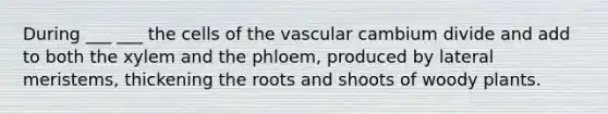 During ___ ___ the cells of the vascular cambium divide and add to both the xylem and the phloem, produced by lateral meristems, thickening the roots and shoots of woody plants.