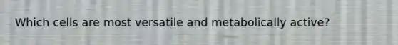 Which cells are most versatile and metabolically active?