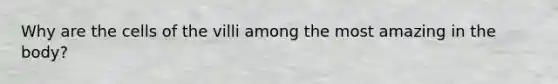 Why are the cells of the villi among the most amazing in the body?
