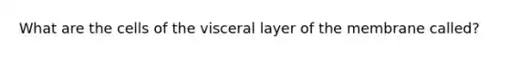 What are the cells of the visceral layer of the membrane called?