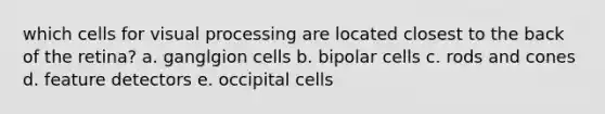 which cells for visual processing are located closest to the back of the retina? a. ganglgion cells b. bipolar cells c. rods and cones d. feature detectors e. occipital cells