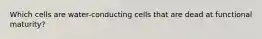 Which cells are water-conducting cells that are dead at functional maturity?