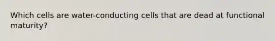 Which cells are water-conducting cells that are dead at functional maturity?