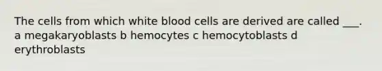 The cells from which white blood cells are derived are called ___. a megakaryoblasts b hemocytes c hemocytoblasts d erythroblasts