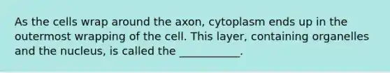 As the cells wrap around the axon, cytoplasm ends up in the outermost wrapping of the cell. This layer, containing organelles and the nucleus, is called the ___________.