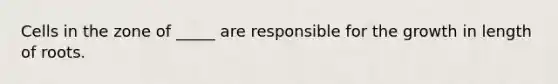 Cells in the zone of _____ are responsible for the growth in length of roots.