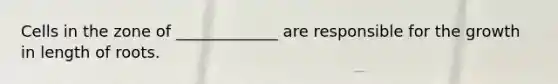 Cells in the zone of _____________ are responsible for the growth in length of roots.