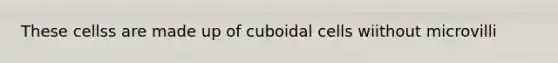 These cellss are made up of cuboidal cells wiithout microvilli