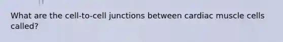 What are the cell-to-cell junctions between cardiac muscle cells called?