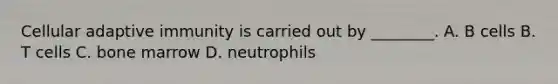 Cellular adaptive immunity is carried out by ________. A. B cells B. T cells C. bone marrow D. neutrophils