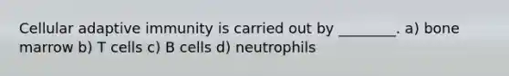 Cellular adaptive immunity is carried out by ________. a) bone marrow b) T cells c) B cells d) neutrophils