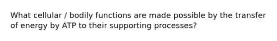 What cellular / bodily functions are made possible by the transfer of energy by ATP to their supporting processes?