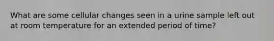 What are some cellular changes seen in a urine sample left out at room temperature for an extended period of time?