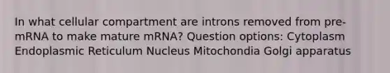 In what cellular compartment are introns removed from pre-mRNA to make mature mRNA? Question options: Cytoplasm Endoplasmic Reticulum Nucleus Mitochondia Golgi apparatus