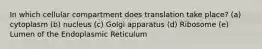 In which cellular compartment does translation take place? (a) cytoplasm (b) nucleus (c) Golgi apparatus (d) Ribosome (e) Lumen of the Endoplasmic Reticulum