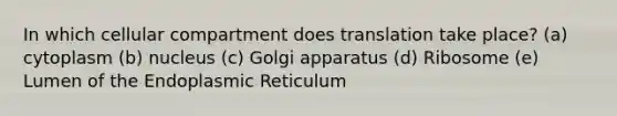 In which cellular compartment does translation take place? (a) cytoplasm (b) nucleus (c) Golgi apparatus (d) Ribosome (e) Lumen of the Endoplasmic Reticulum