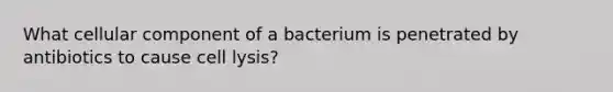 What cellular component of a bacterium is penetrated by antibiotics to cause cell lysis?