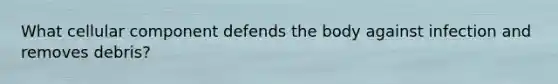 What cellular component defends the body against infection and removes debris?