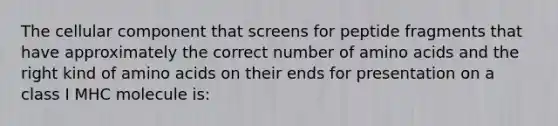 The cellular component that screens for peptide fragments that have approximately the correct number of amino acids and the right kind of amino acids on their ends for presentation on a class I MHC molecule is: