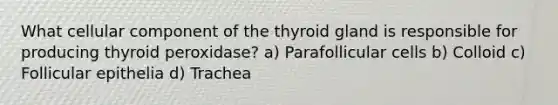 What cellular component of the thyroid gland is responsible for producing thyroid peroxidase? a) Parafollicular cells b) Colloid c) Follicular epithelia d) Trachea