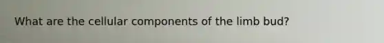 What are the cellular components of the limb bud?