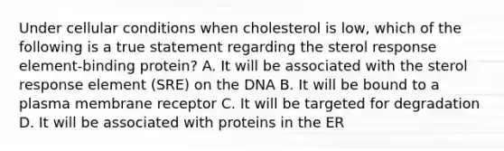 Under cellular conditions when cholesterol is low, which of the following is a true statement regarding the sterol response element-binding protein? A. It will be associated with the sterol response element (SRE) on the DNA B. It will be bound to a plasma membrane receptor C. It will be targeted for degradation D. It will be associated with proteins in the ER